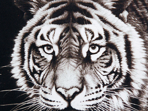 Photo laser etching, laser-marked photo printing, MA, RI, CT, NH, ME, VT, NY